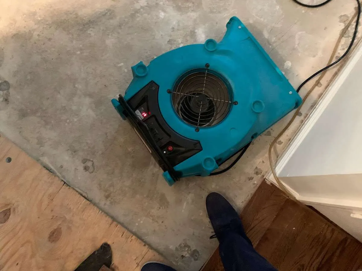 Air mover drying subfloor during Leak Detection & Repair in Weston