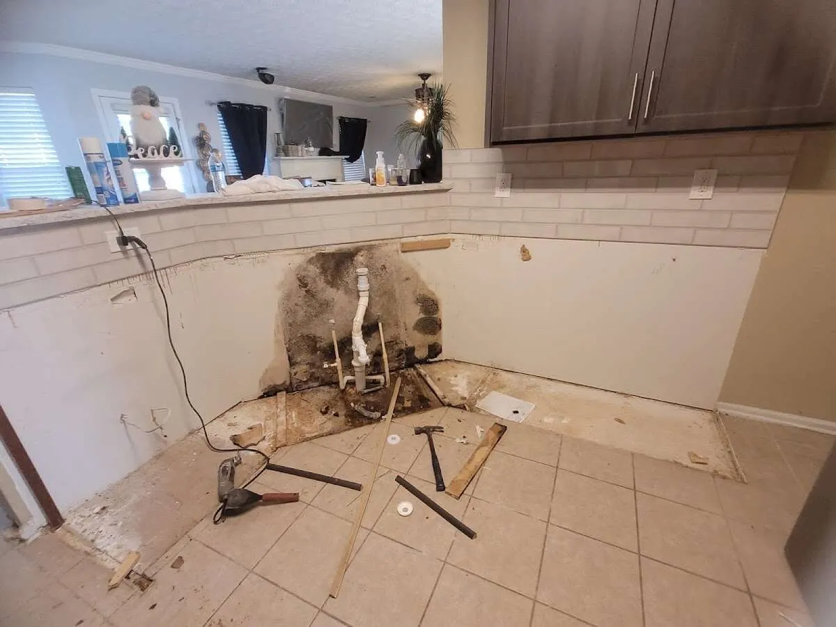 Mold behind wall with plumbing during Flood Damage Cleanup in Weston